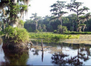 Edward Ball Wakulla Springs State Park