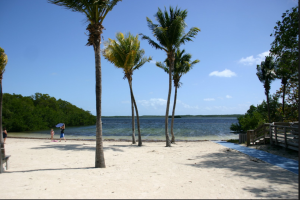 John Pennekamp Coral Reef State Park